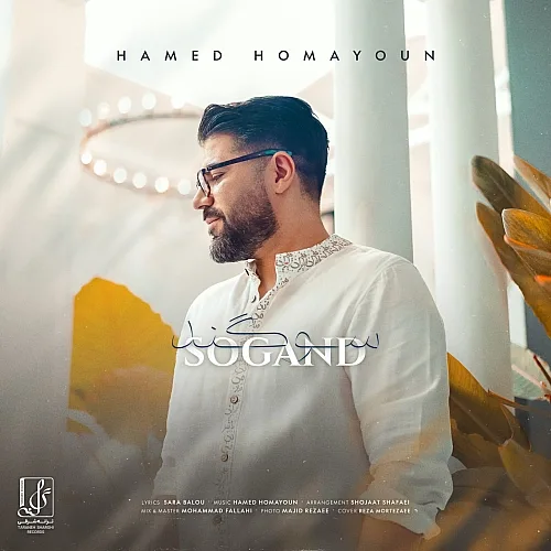 Sogand Hamed Homayoun
